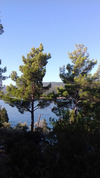 20170825_075400 01.jpg